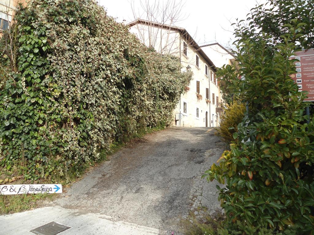 B&B Rosaspina Ascoli Piceno Zewnętrze zdjęcie