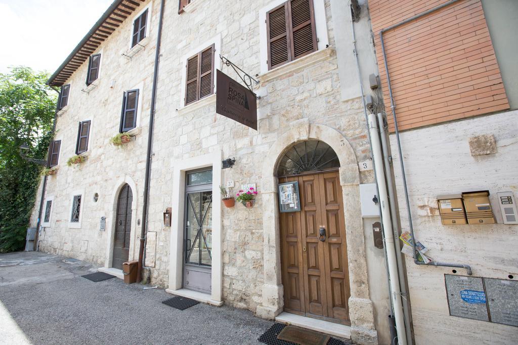 B&B Rosaspina Ascoli Piceno Zewnętrze zdjęcie